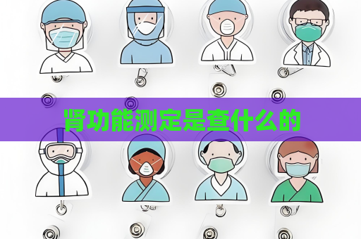 肾功能测定是查什么的