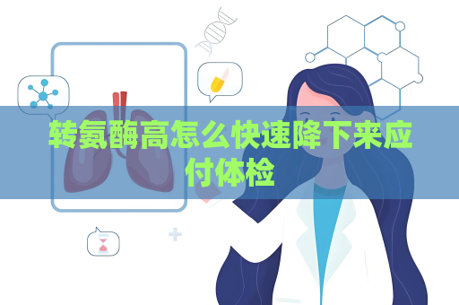 转氨酶高怎么快速降下来应付体检