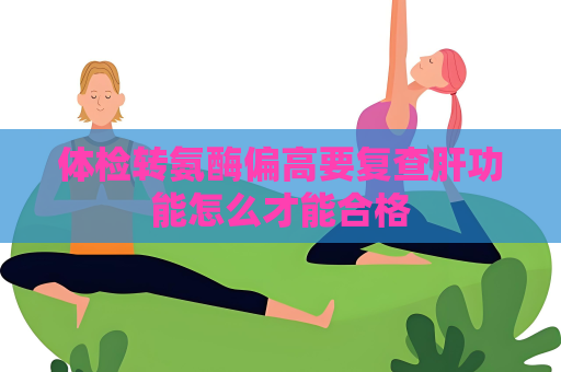体检转氨酶偏高要复查肝功能怎么才能合格