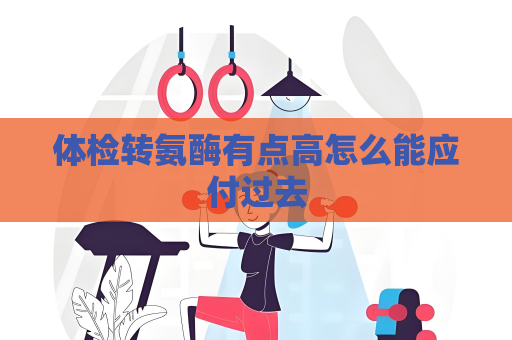 体检转氨酶有点高怎么能应付过去