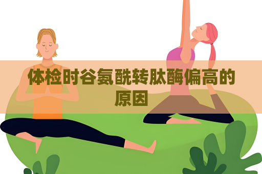 体检时谷氨酰转肽酶偏高的原因