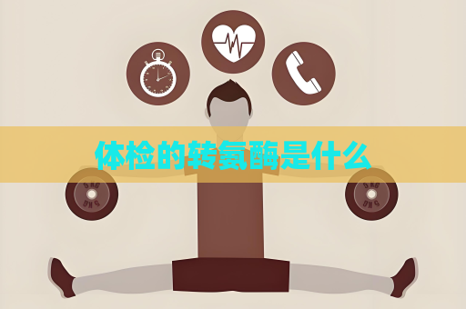 体检的转氨酶是什么