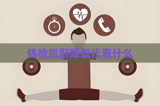 体检肌酐降低代表什么