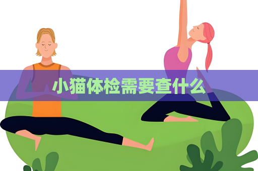 小猫体检需要查什么