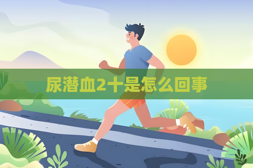 尿潜血2十是怎么回事