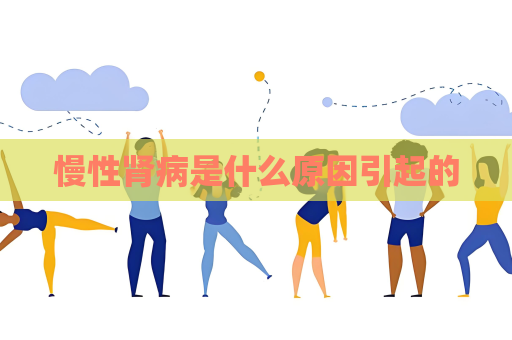 慢性肾病是什么原因引起的