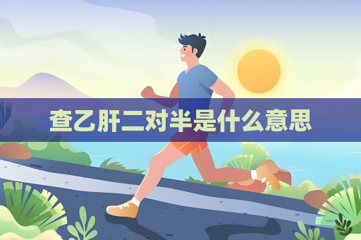 查乙肝二对半是什么意思