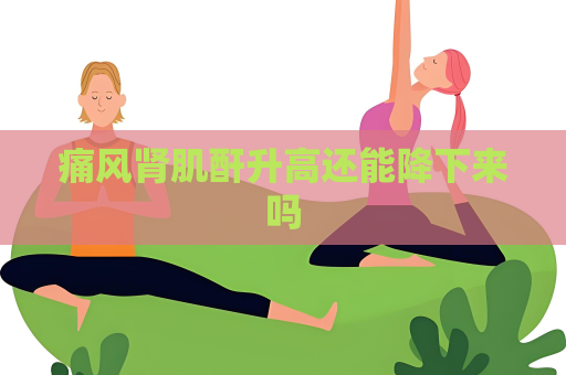 痛风肾肌酐升高还能降下来吗