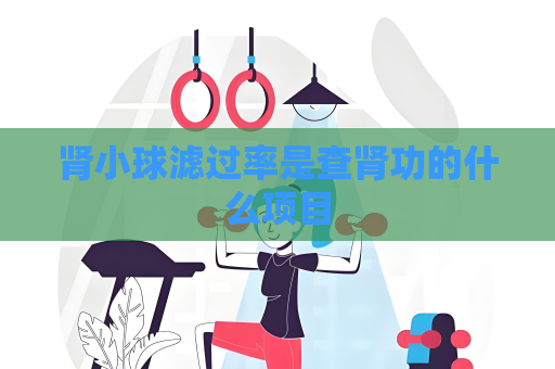 肾小球滤过率是查肾功的什么项目