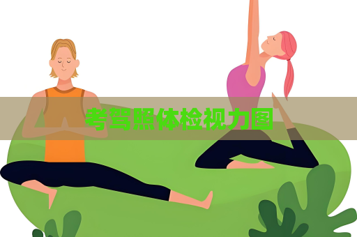 考驾照体检视力图