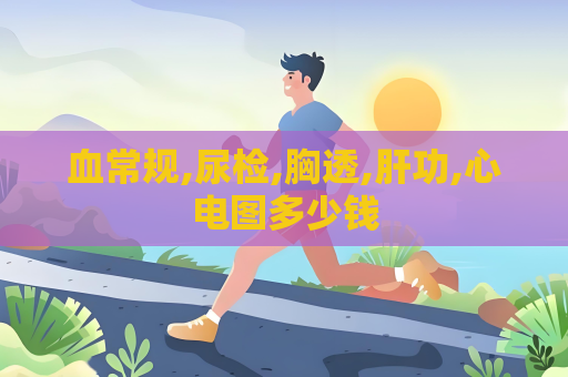 血常规,尿检,胸透,肝功,心电图多少钱