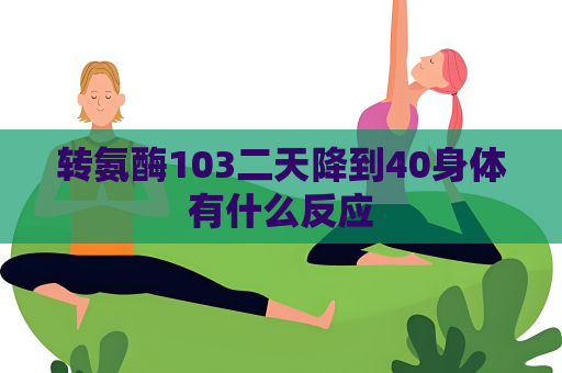 转氨酶103二天降到40身体有什么反应