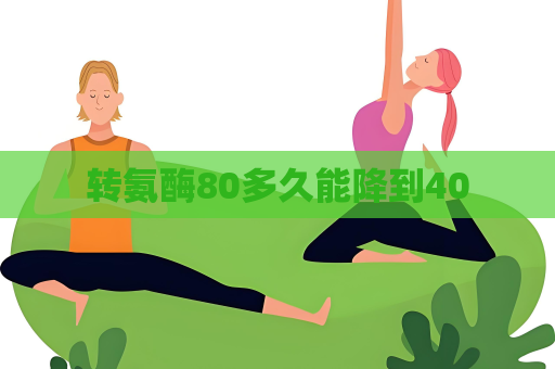 转氨酶80多久能降到40