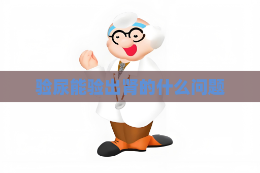 验尿能验出肾的什么问题