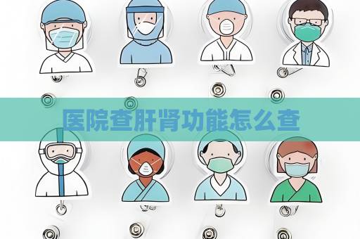 医院查肝肾功能怎么查
