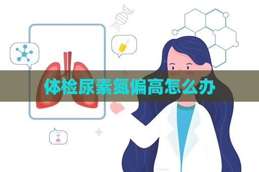 体检尿素氮偏高怎么办