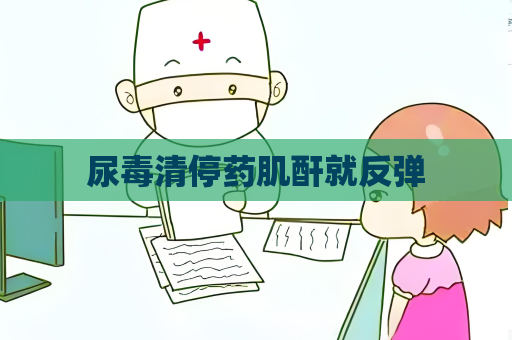 尿毒清停药肌酐就反弹