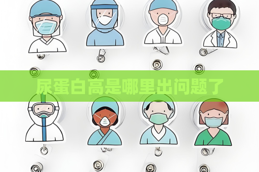尿蛋白高是哪里出问题了