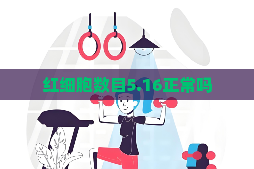 红细胞数目5.16正常吗