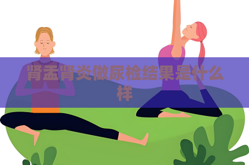 肾盂肾炎做尿检结果是什么样
