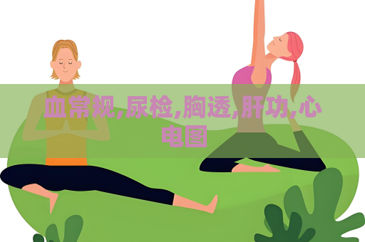 血常规,尿检,胸透,肝功,心电图