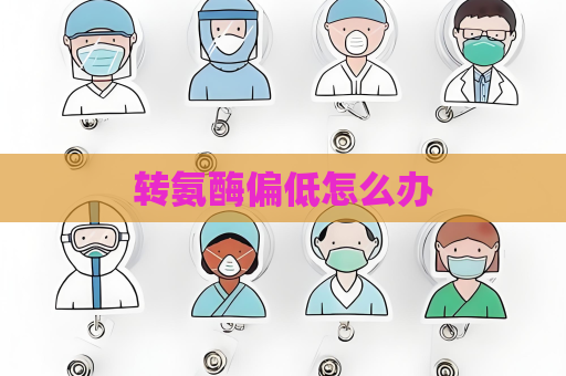 转氨酶偏低怎么办