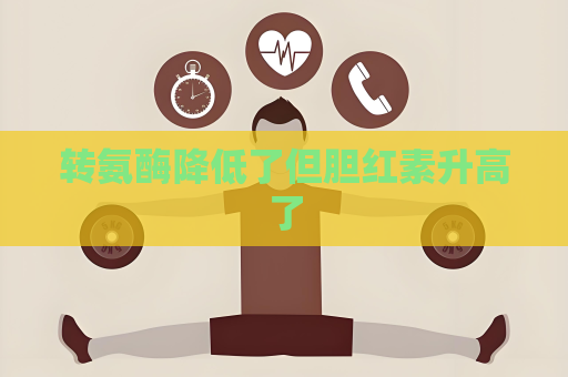 转氨酶降低了但胆红素升高了