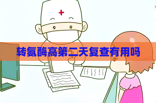 转氨酶高第二天复查有用吗