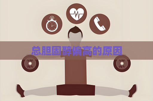 总胆固醇偏高的原因