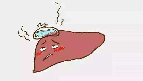 入职体检中转氨酶的具体合格标准